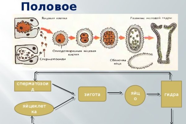 Кракен что продают