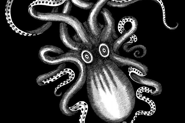 Ссылка для входа на сайт kraken