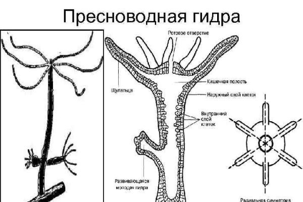 Кракен даркнет стор