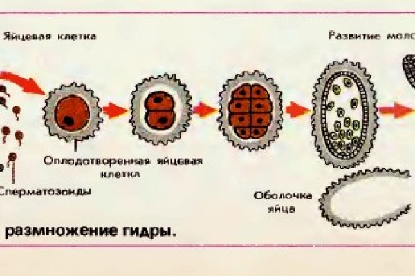 Kraken официальный сайт ссылка через tor