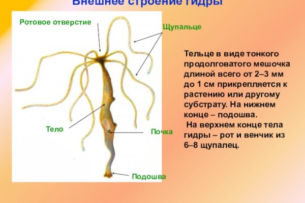 Сайт кракен гидра