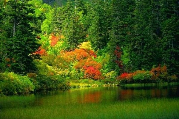 Кракен сайт что будет если зайти