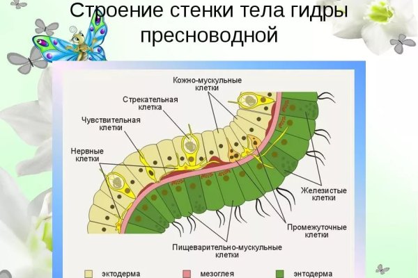 Кракен марихуана