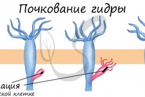 Замена гидры