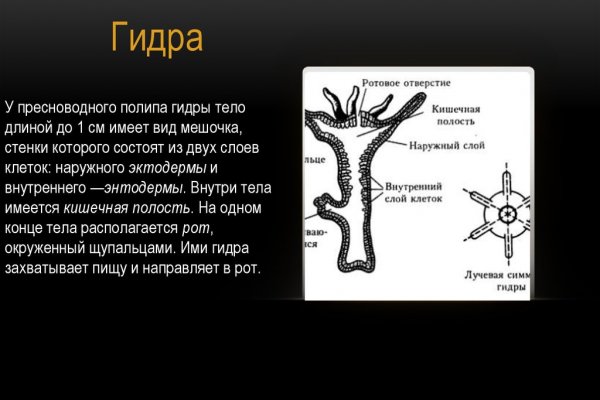 Как отличить оригинальный сайт кракена