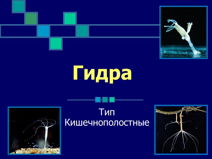 Кракен зеркало store